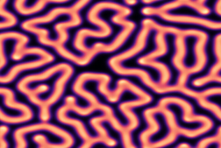 Reaction-diffusion pattern: organic mazes in orange tones on a dark background